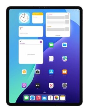 Apple iPad Pro 12.9 (2021) 256 GB Gray